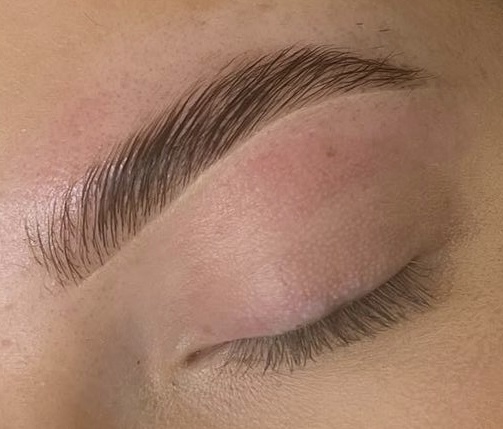 Brow Wax & Tint