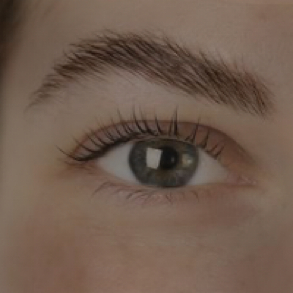 August Focus- Effortless Lashes at Studio Seventeen PC in Palm Coast, FL