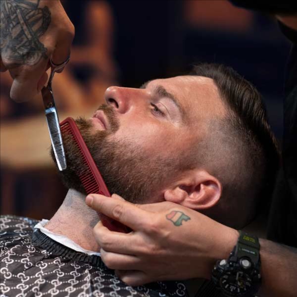 Man's Haircut/Shampoo/Beard Trim at Tommy & Co Hair Designs in Ahoskie, NC