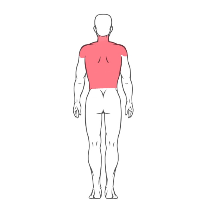 Neck + Full Back + Shoulders