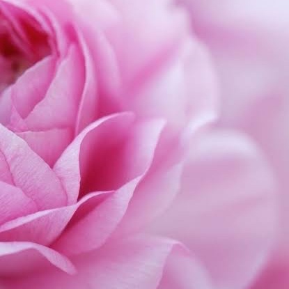 2 Week Mega Volume Refill