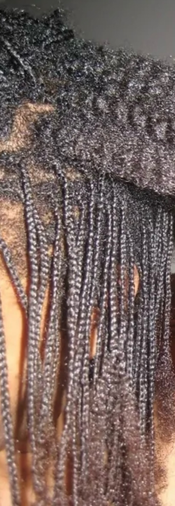 Braid Take Down