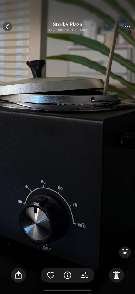 Brow Maintanence (Clean Up)