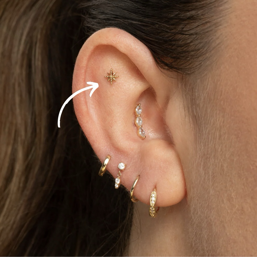 Flat at Essence of Nirvana in Beverly, MA