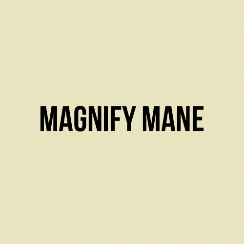 Bang Refresh at Magnify Mane in Peoria, IL