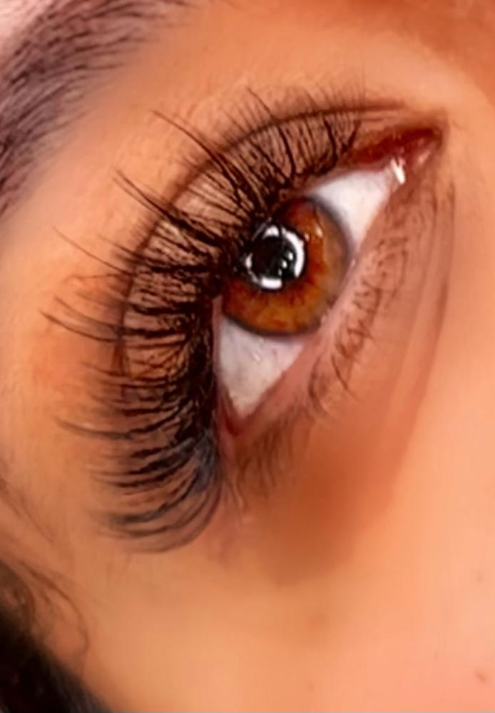 CRAZY IN LOVE~Hydrid Lash Full Set