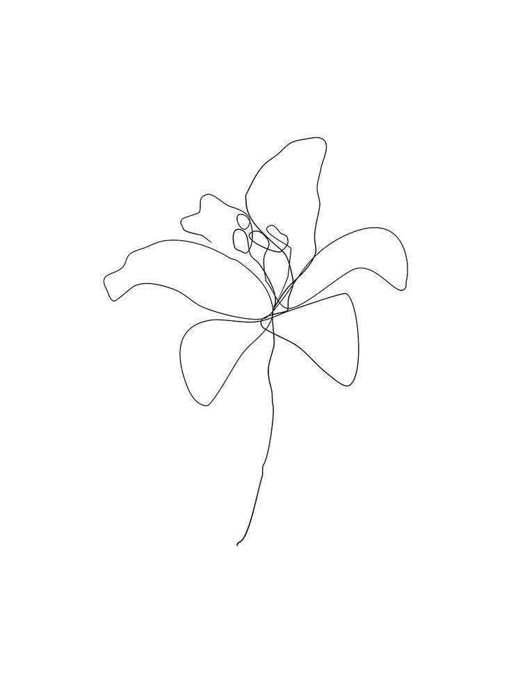 Customizable Vajacial
