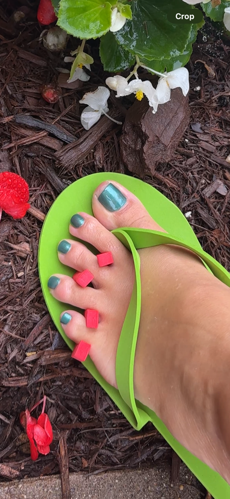 Seasonal Spa Pedicures at Nailzz by Kat in Culpeper, VA