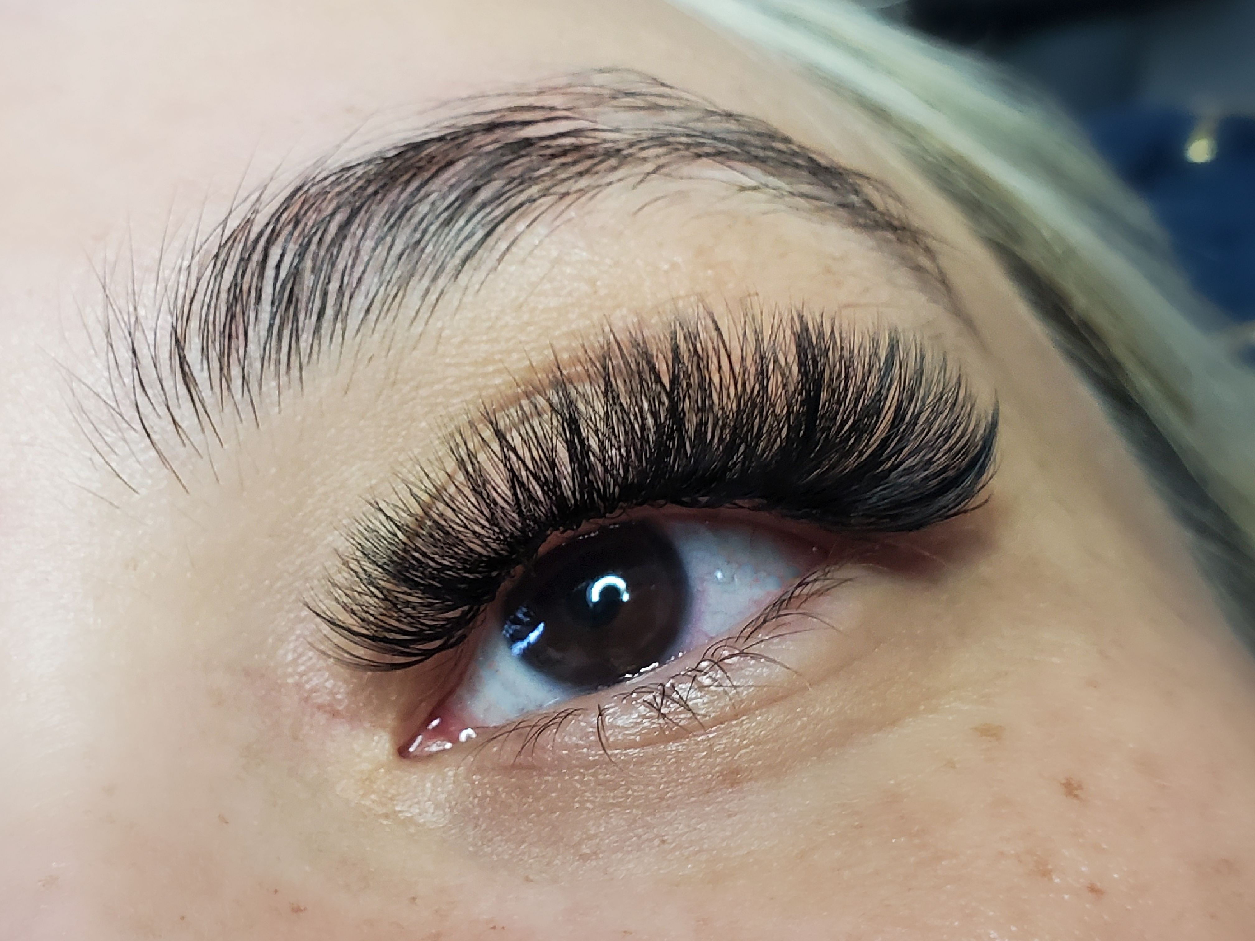 3 week volume at The Lash Lady in Twin Falls, ID