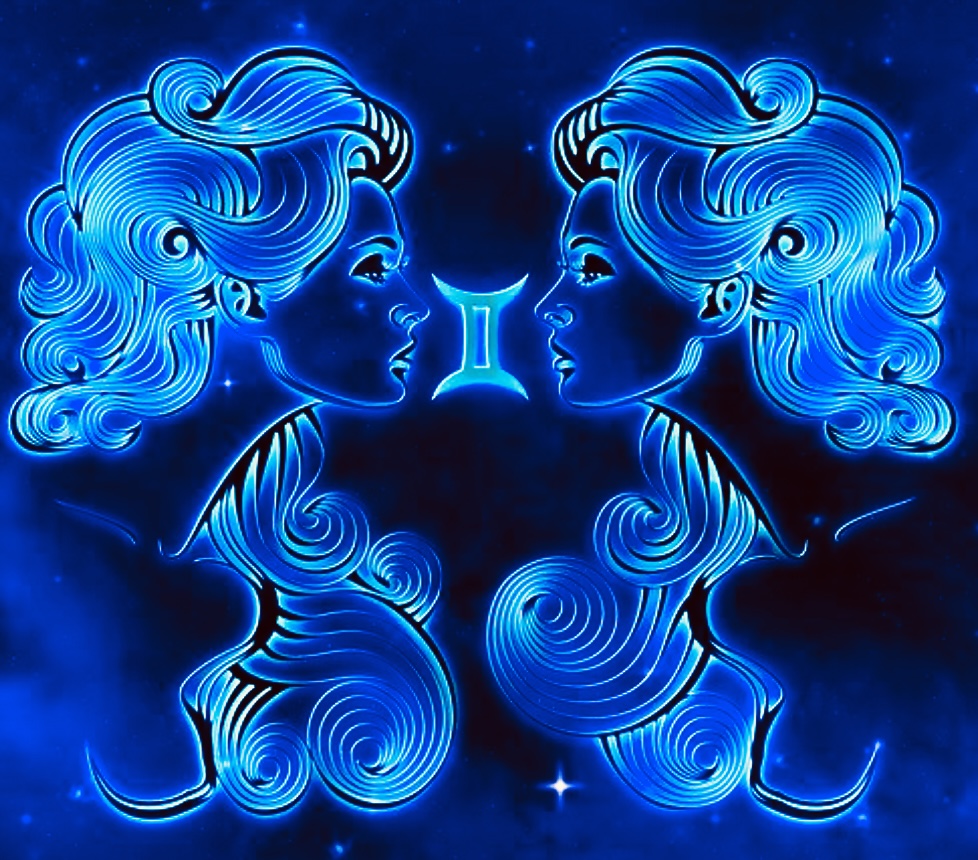 Gemini Twin HALF Arm/Leg♊️