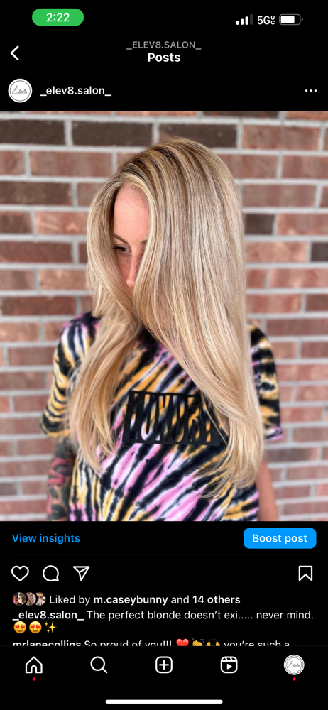 Balayage/highlight