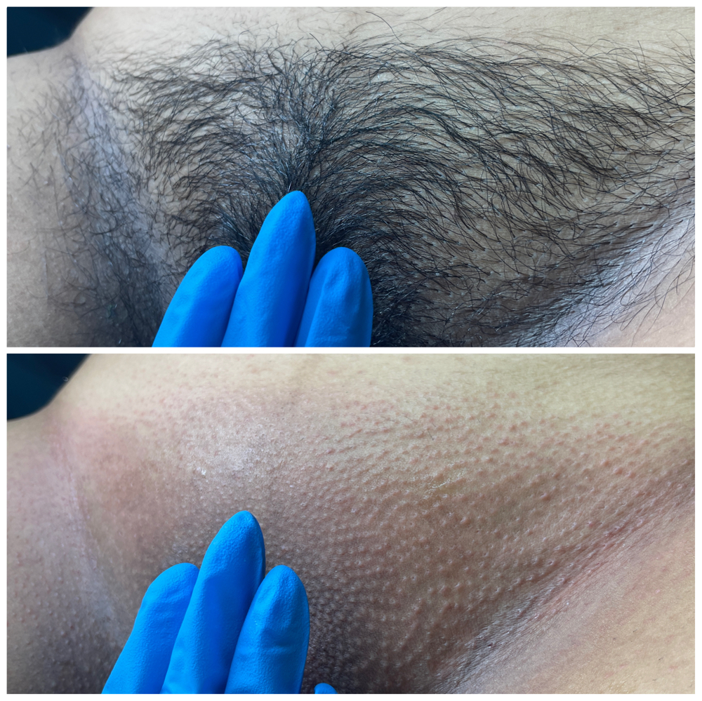 Wow Wax | Signature Touch