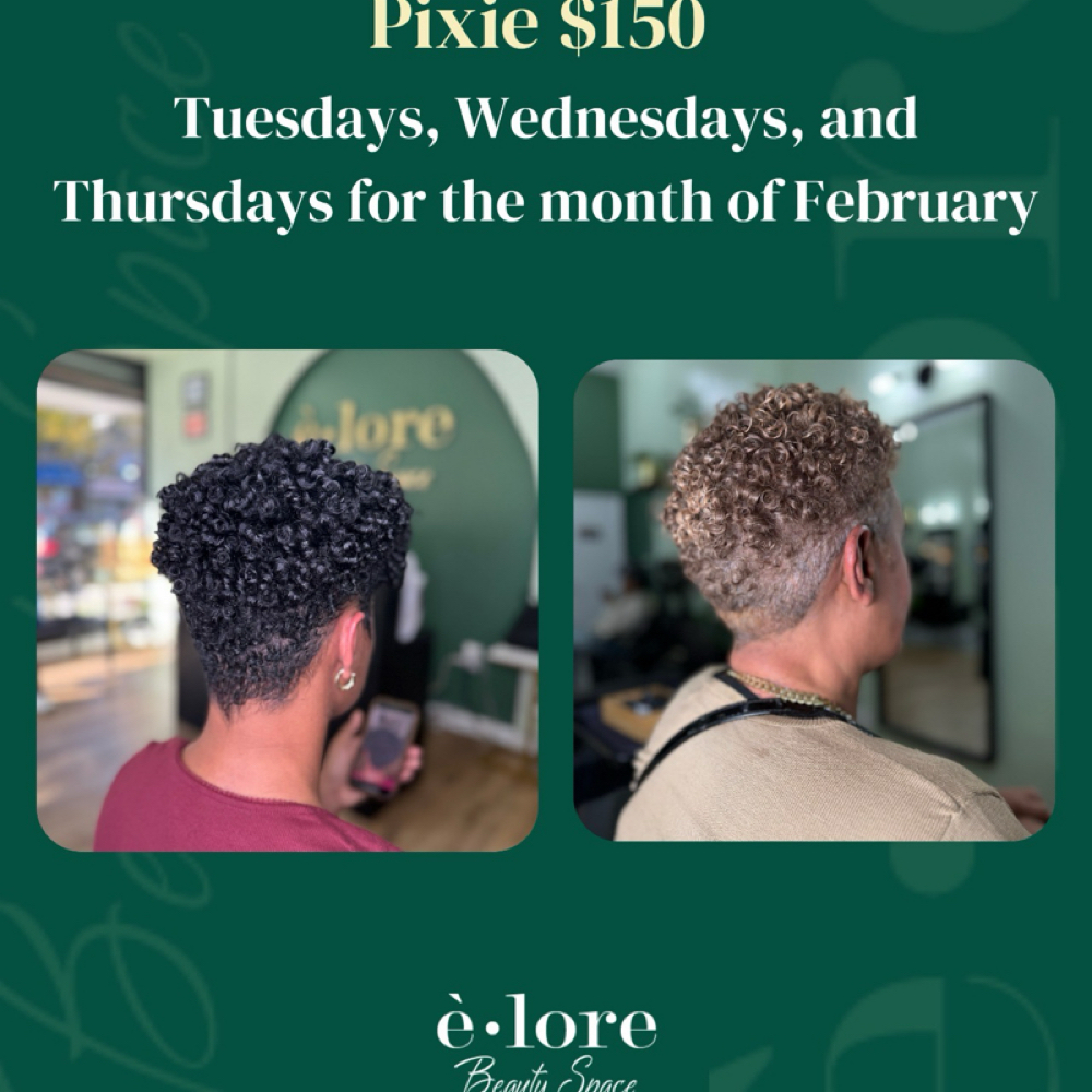 Pixie Cut at Elore Beauty Space / Natural Hair Salon in New York, NY