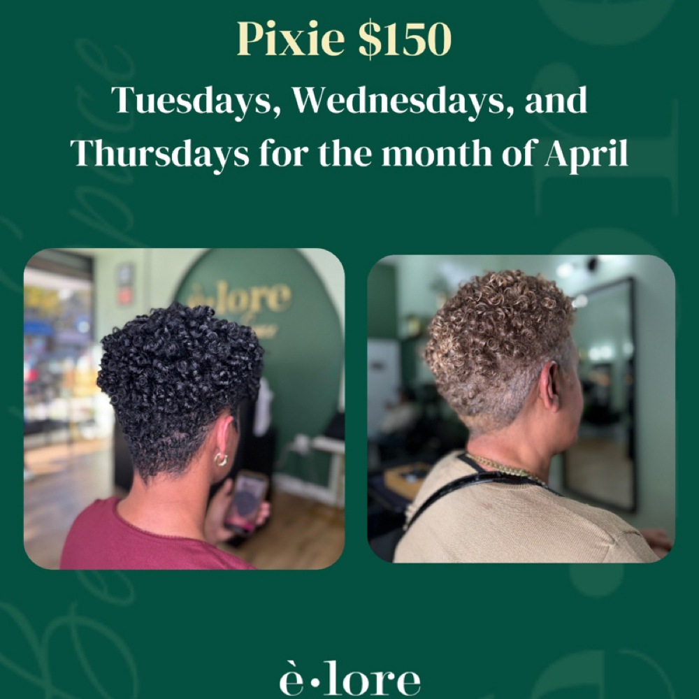 Pixie Cut at Elore Beauty Space / Natural Hair Salon in New York, NY
