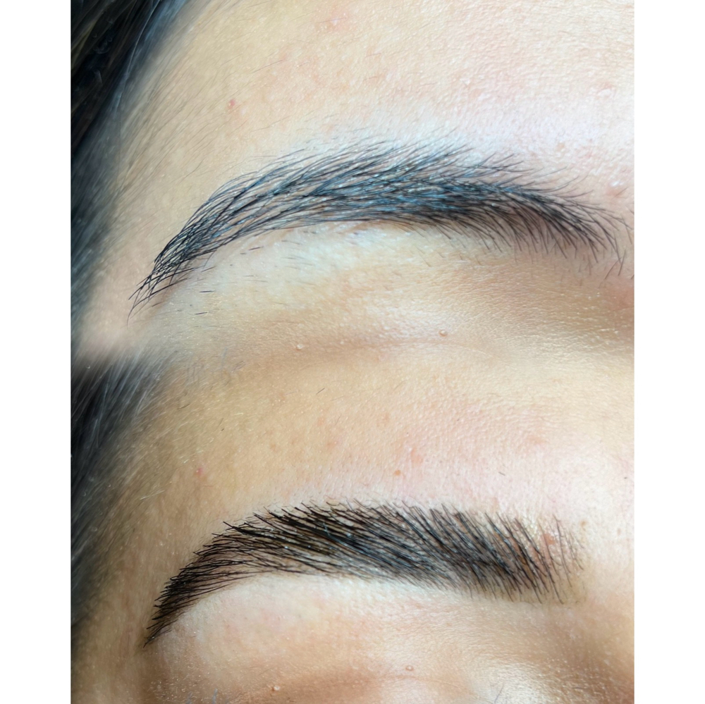 Brow Lami + Tint + Wax