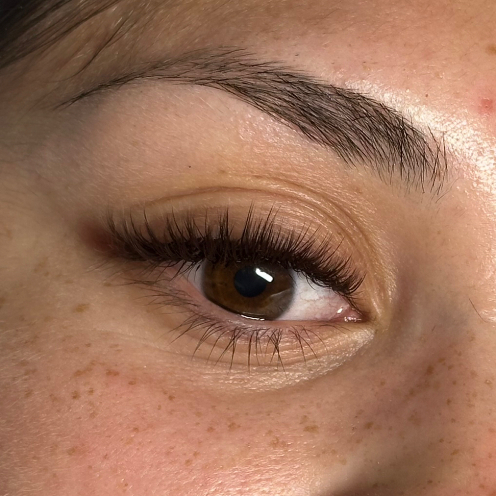 Brownie Hybrid at eyelovelashstudio in San Antonio, TX