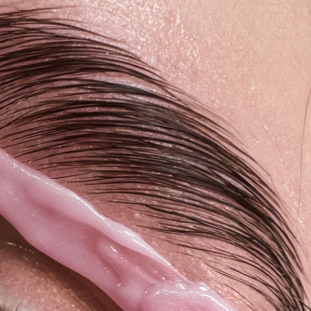 Brow Wax + Tint at Magnolia Artistry in Draper, UT