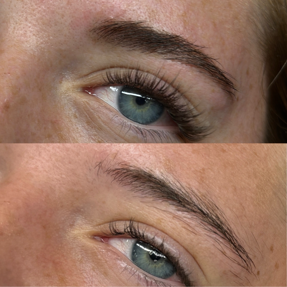 Brow Wax Only
