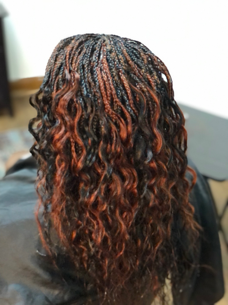 Microbraids (Medium Size)