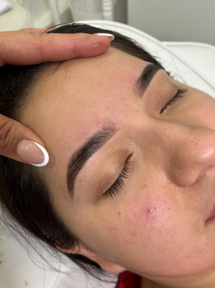 Hybrid Brows/touch Up (HENNA)