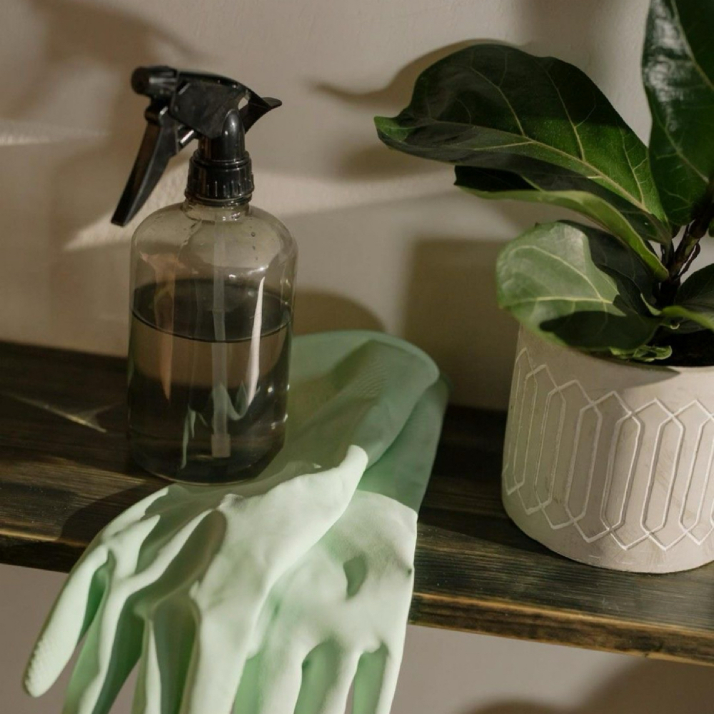 Regular Maintance Clean at PRO Cleaners in Dennison, OH