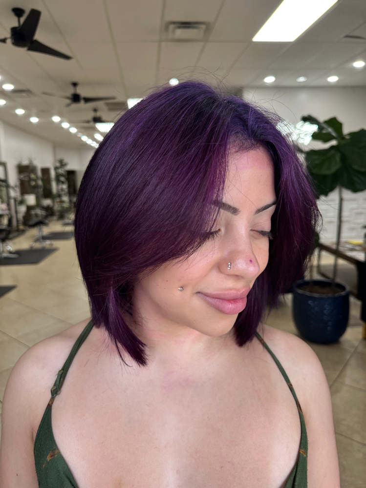 Toner/gloss at Earth & Fire Hair Studio in San Antonio, TX