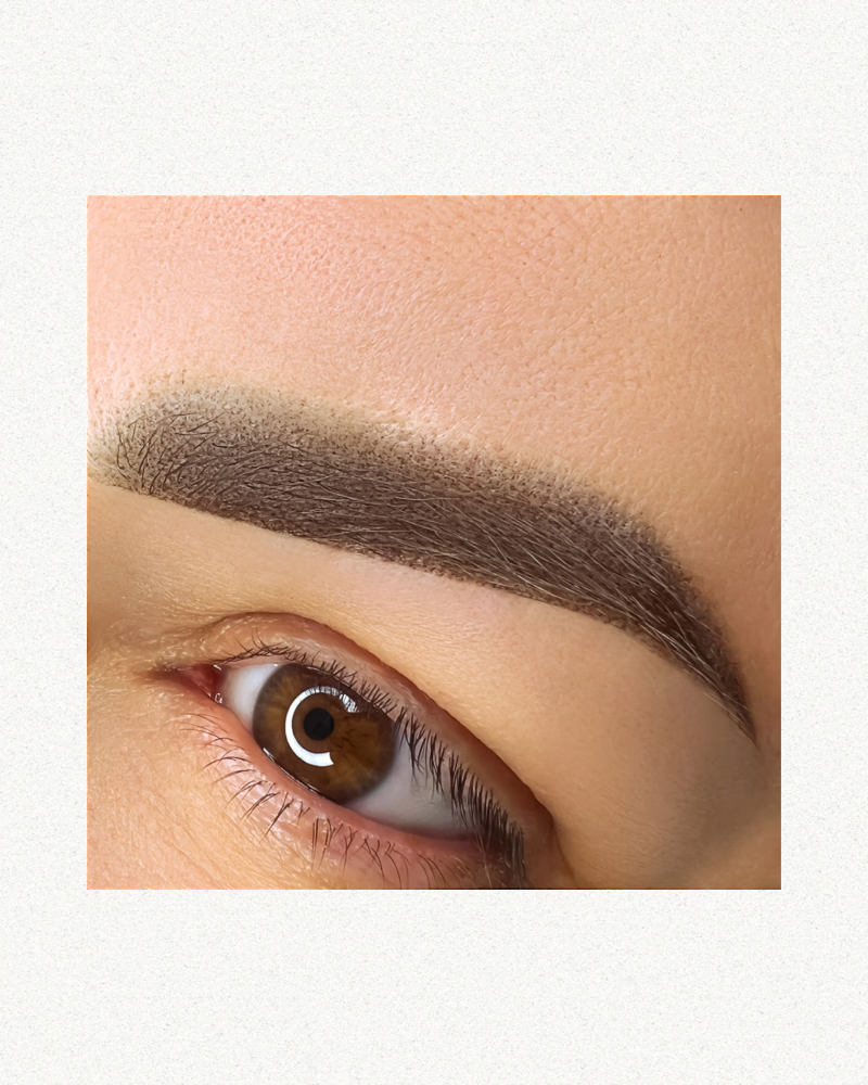 Powder Brows/ Cejas Polvo