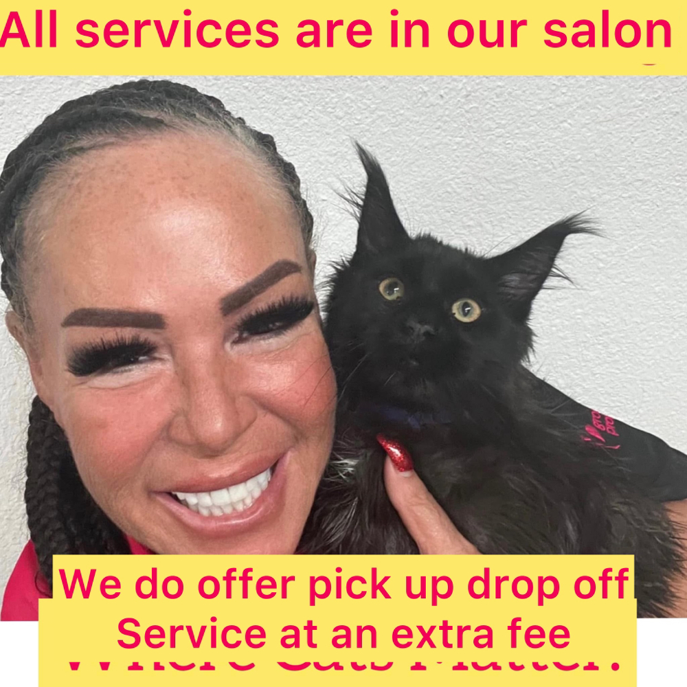 All Services Are In Salon