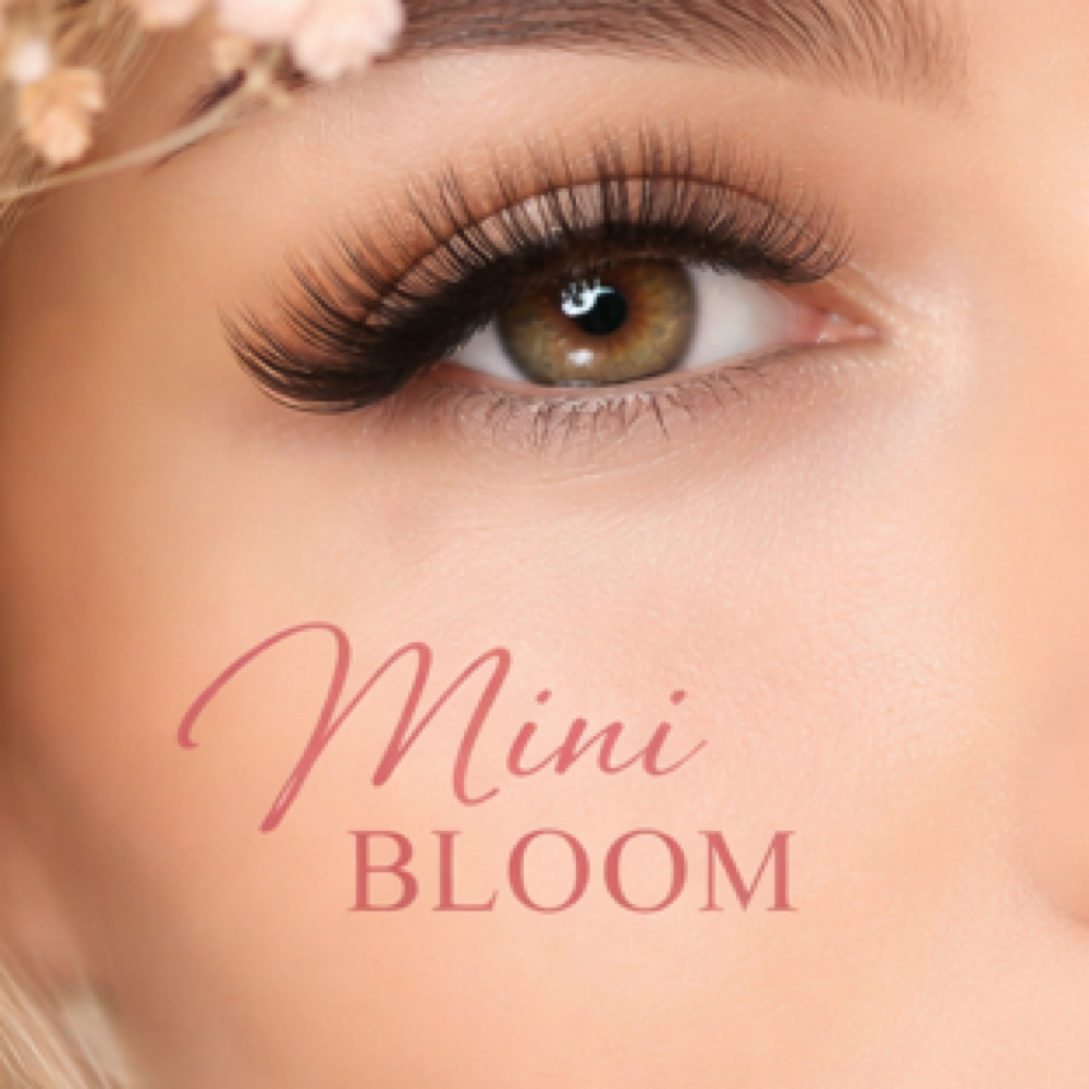 Mini Bloom Fill at Sunflower Beauty in Whitney, TX