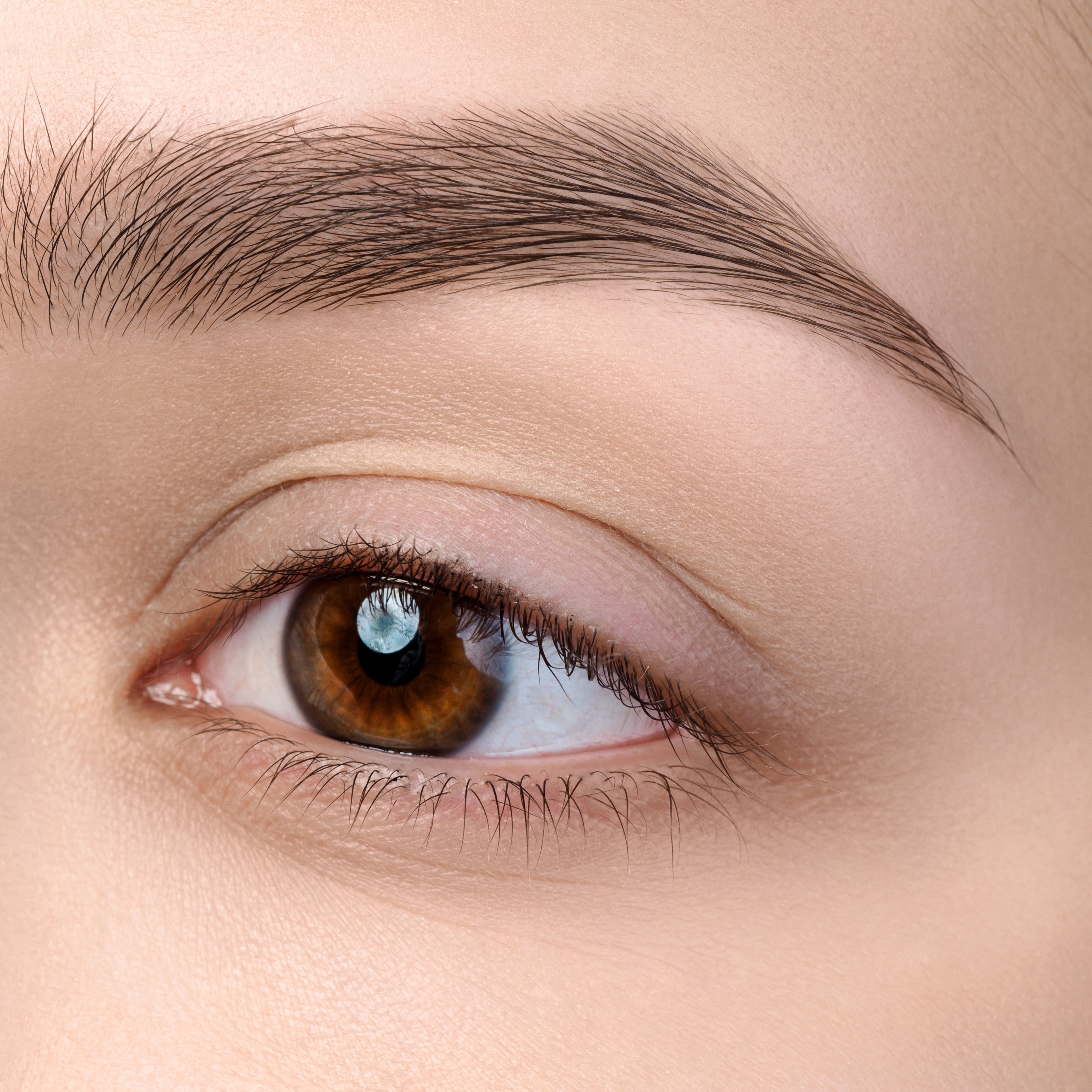 Brow Shaping + tint