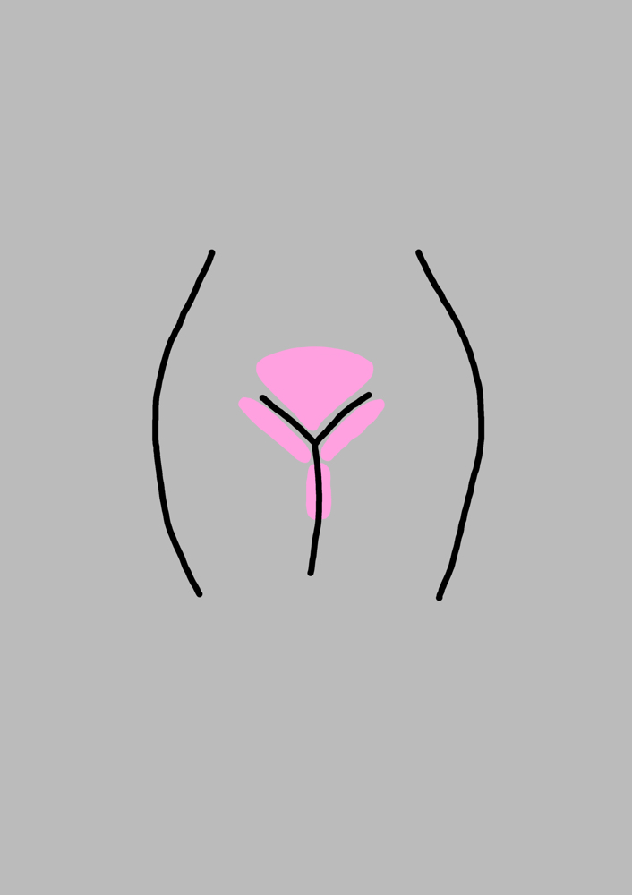 Brazilian Wax at Desert Rose Beauty in Bowling Green, OH