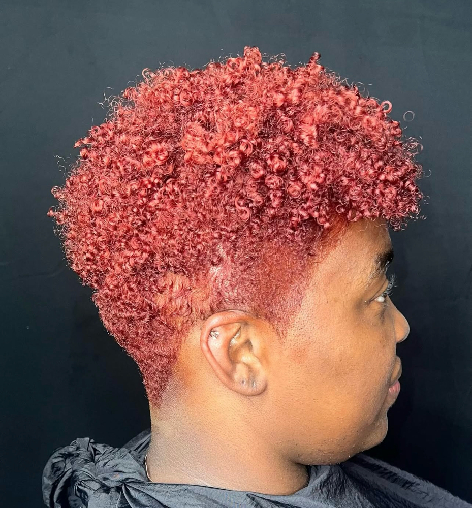 Tapered Natural Haircut(Full Color)