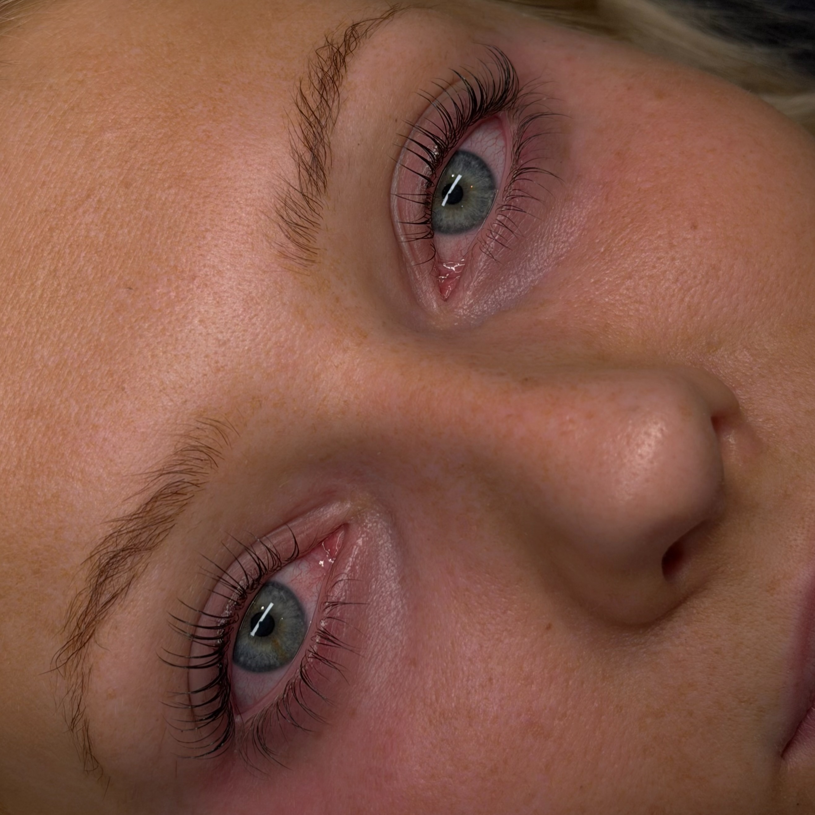Korean Lash Lift/Tint at Ava Beauty Bar in Lehi, UT