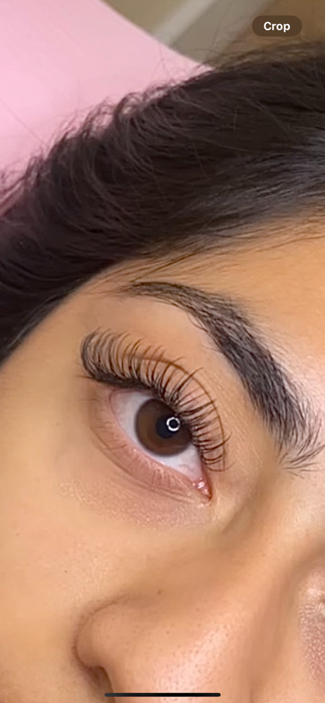 Wet Set Fill