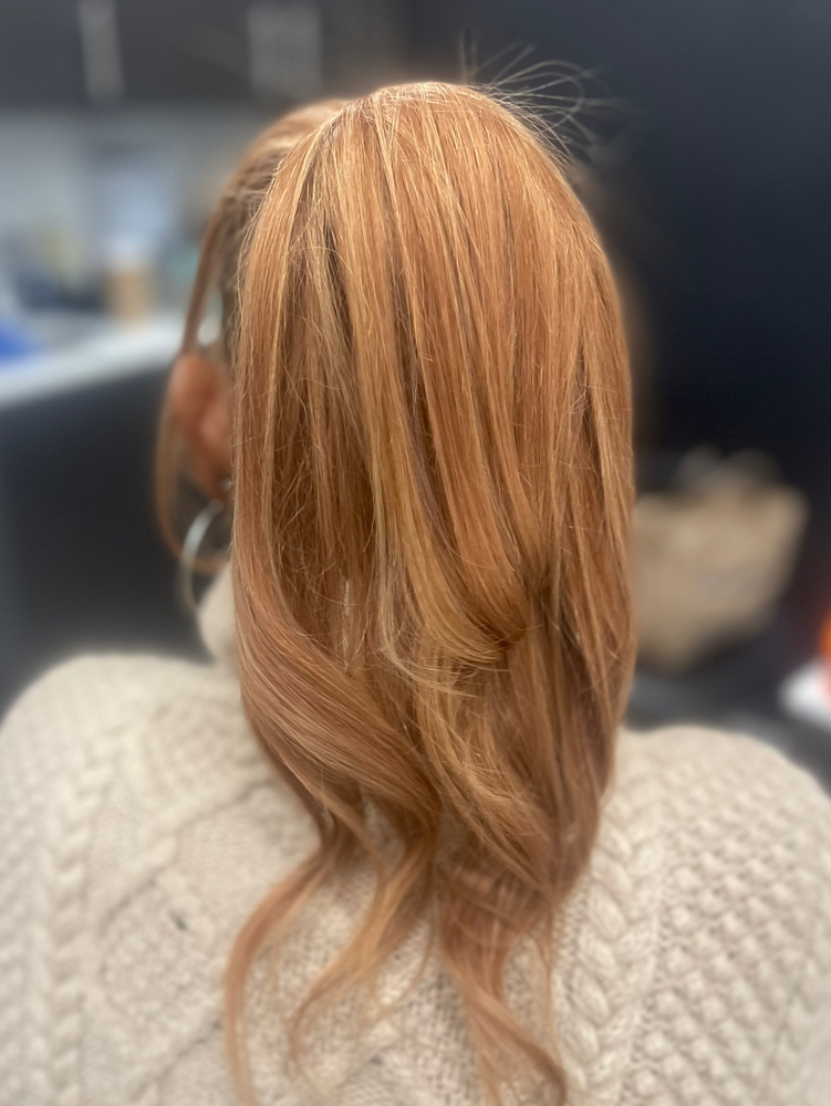 Sleek Ponytail