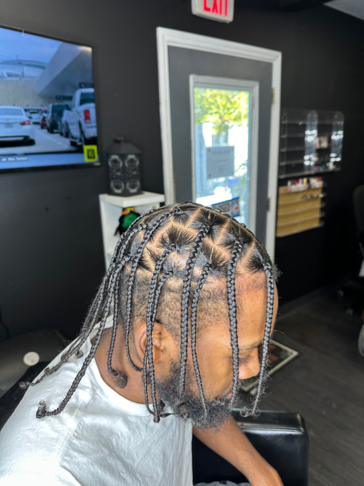 Mens Braids