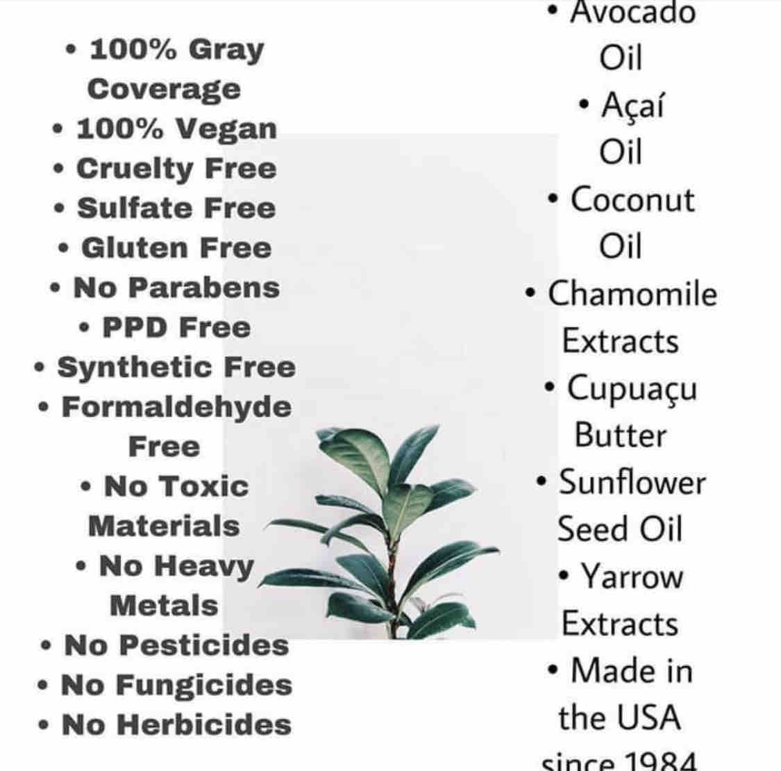 ORGANIC HAIR COLOR, HAIRCUT & STYLE