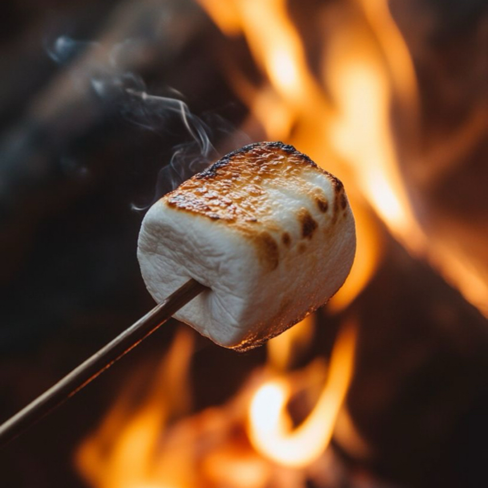 S’mores Facial at Jenn’s Zenn Esthetics in Mentor, OH