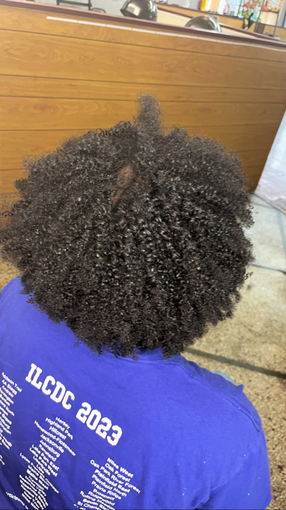 Natural Hair Twist Out