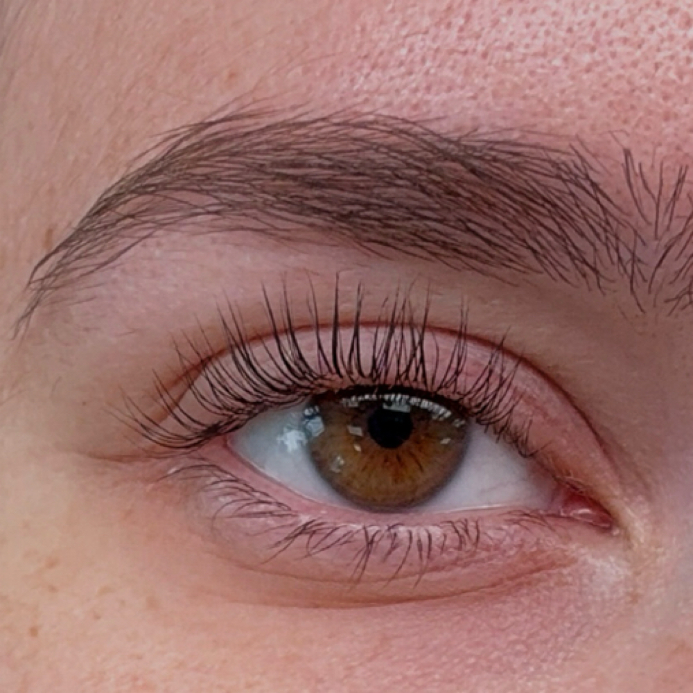Korean Lash Lift + Tint at Vibe Lash & Brow Company in Shrewsbury, NJ