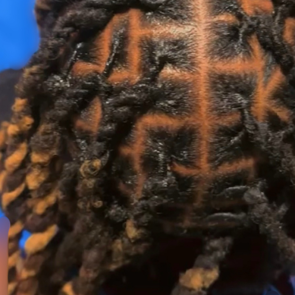 Two Strand Twists at The Balayage Studio in Salem, OR