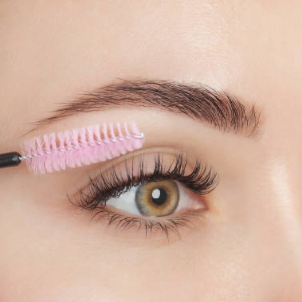 Brow Shape &  Wax