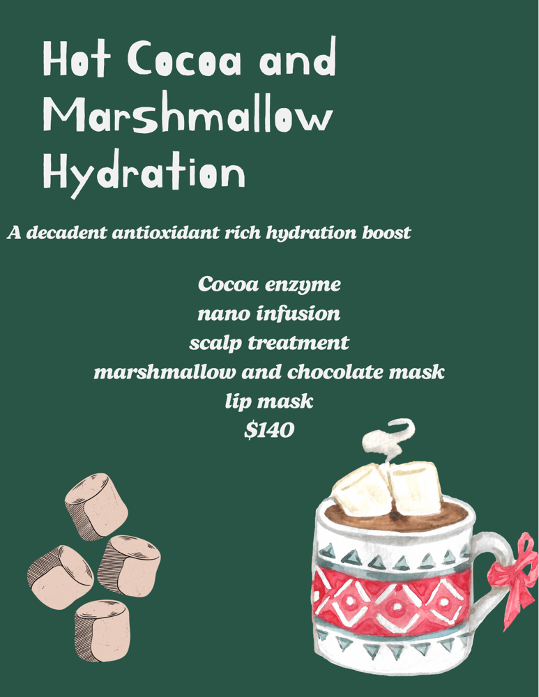 Hot Cocoa And Marshmallow Hydration