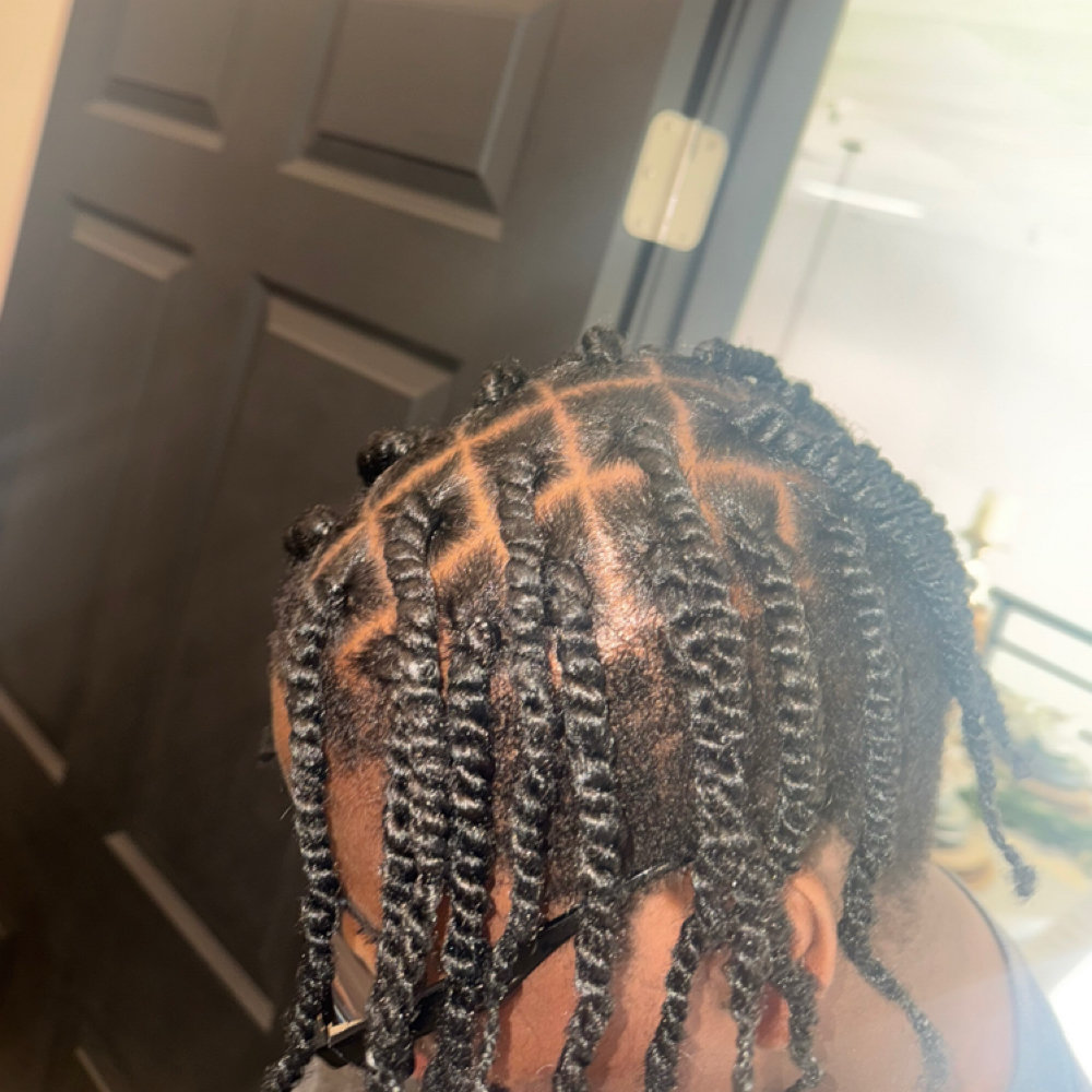 Men Two Strand Twist at Shanelle Luxe Studio in Montgomery, AL