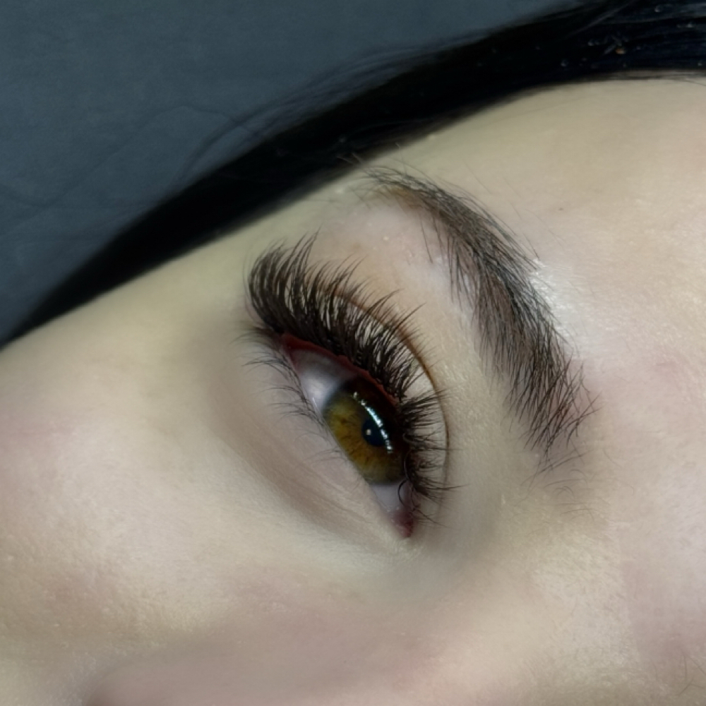 Brown Lash Full Set at Revibe Esthetics in Tacoma, WA