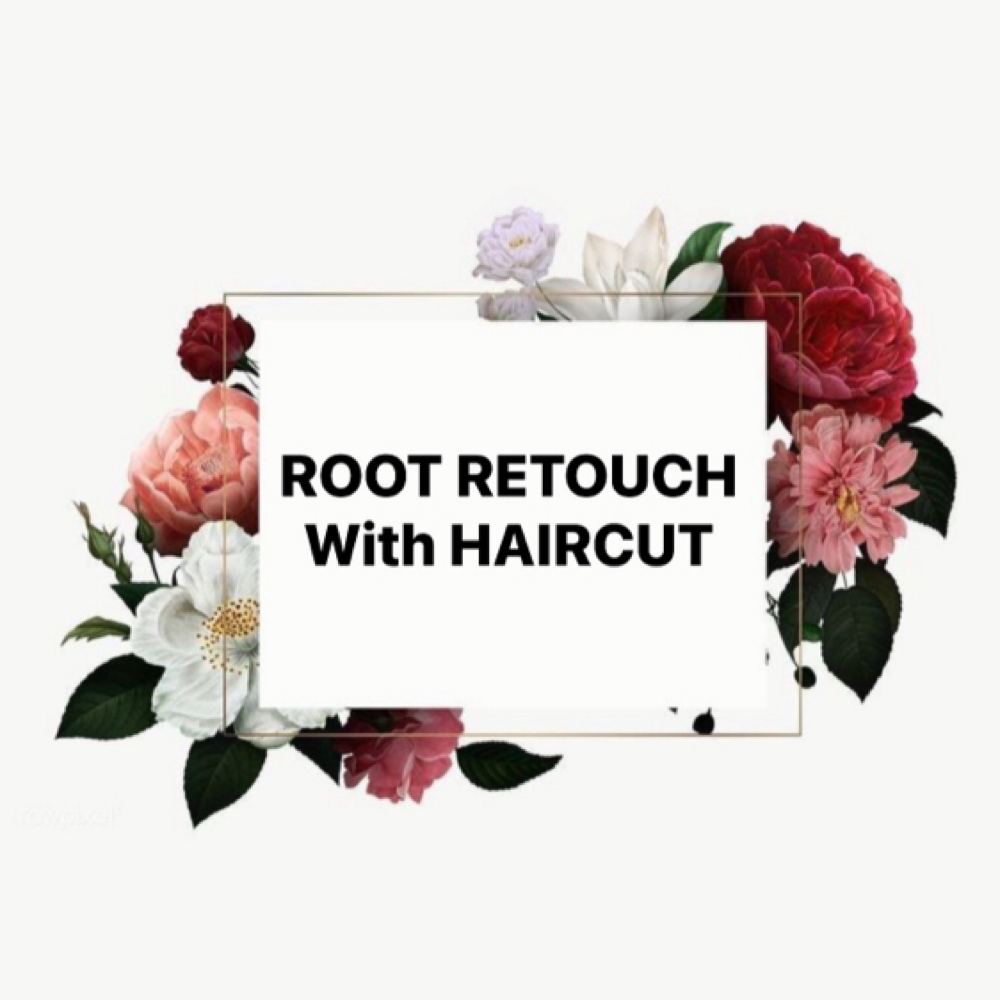 Root Retouch & Haircut at Hair By Sarah Glass LLC in Littleton, CO