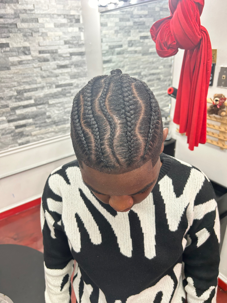Braids/Stitch Braids