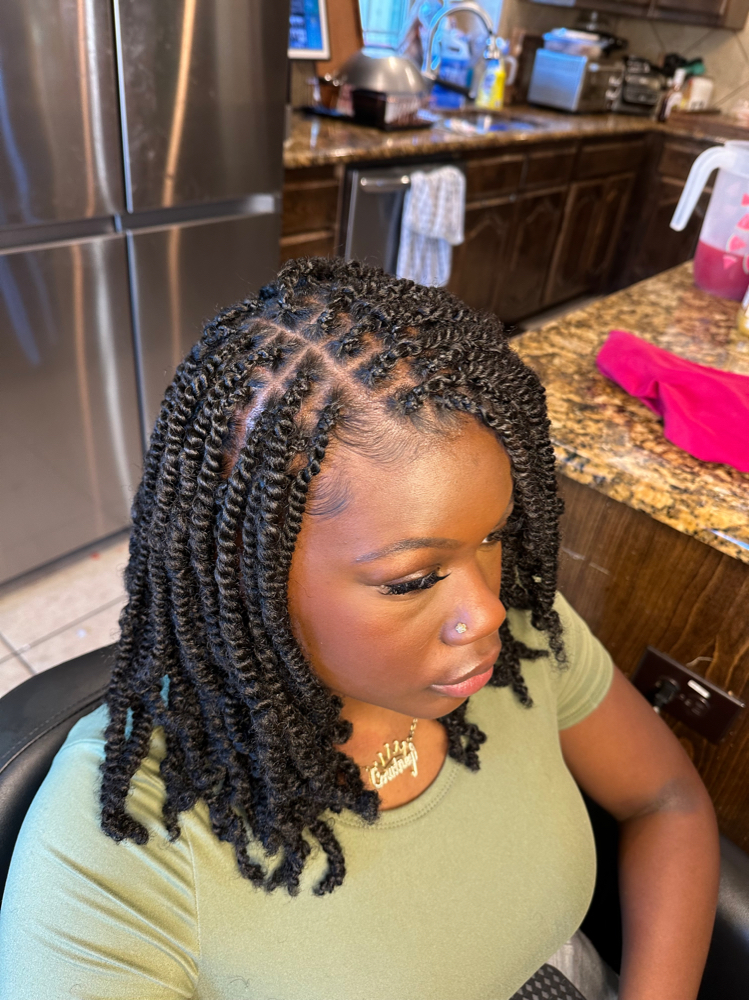 Spring Twist (Mini Twist)