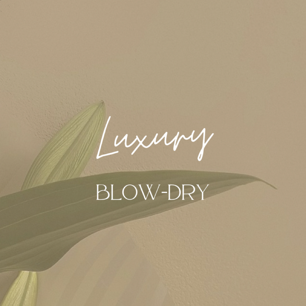 Luxury Blow-dry at Hair by Alexis McCaw in New Hartford, CT