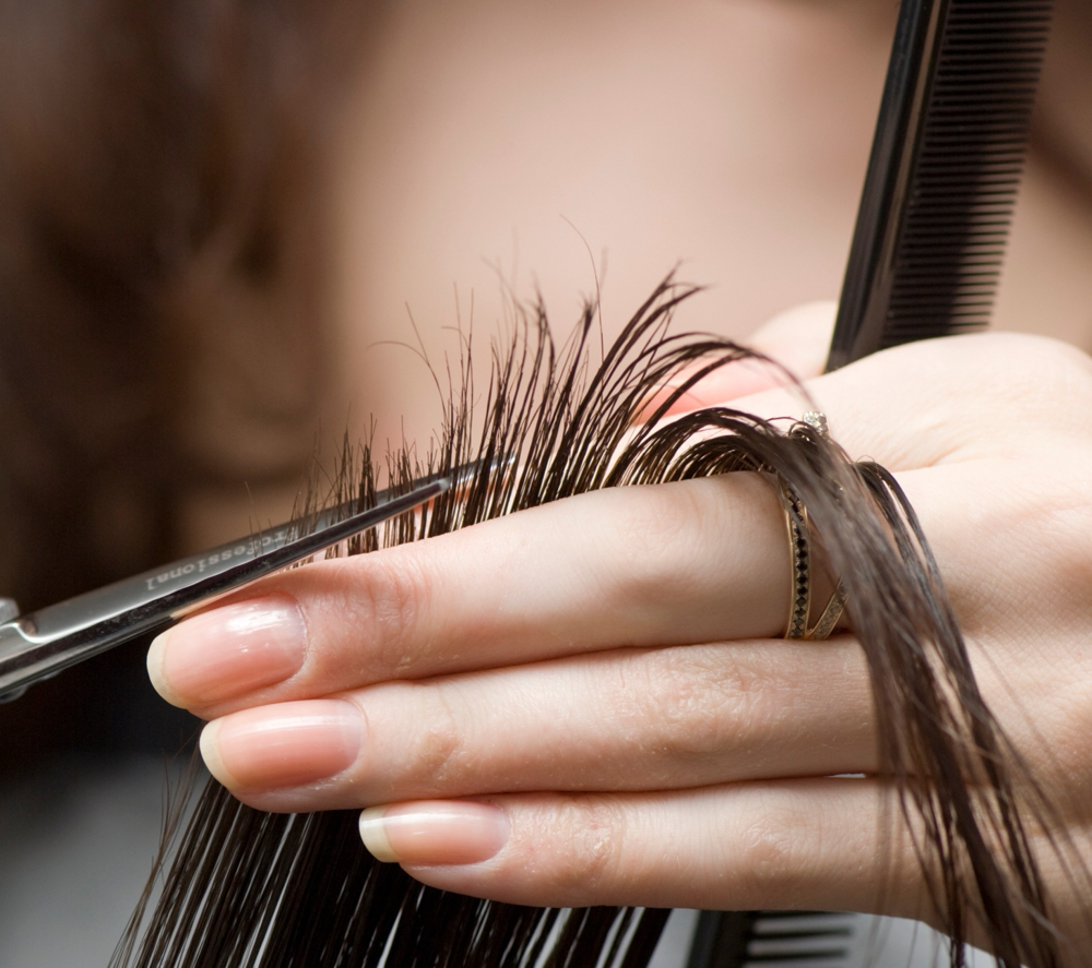 Classic Cut & Style at Blush + Gloss Hair Studio by Sheila LLC in Orchard Park, NY